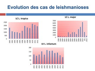 0
1000
2000
3000
4000
5000
6000
7000
1998
1999
2000
2001
2002
2003
2004
2005
2006
2007
2008
2009
2010
201…
2012
LC L. major
0
500
1000
1500
2000
2500
2001
2002
2003
2004
2005
2006
2007
2008
2009
2010
2011
2012
LC L. tropica
0
50
100
150
200
2001
2002
2003
2004
2005
2006
2007
2008
2009
2010
2011
2012
LV L. infantum
Evolution des cas de leishmanioses
 