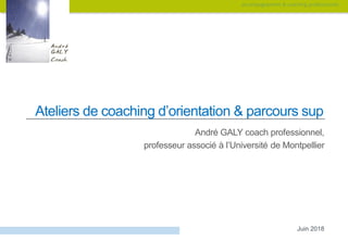 accompagnement & coaching professionnel
Ateliers de coaching d’orientation & parcours sup
André GALY coach professionnel,
professeur associé à l’Université de Montpellier
Juin 2018
 