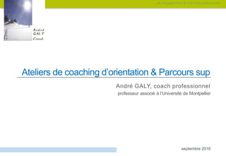 accompagnement & coaching professionnel
Ateliers de coaching d’orientation & Parcours sup
André GALY, coach professionnel
professeur associé à l’Université de Montpellier
septembre 2018
 