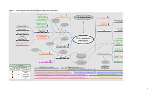 Figure 1 - Vision organisée des principaux points traités dans cette atelier.




                                                                                5
 