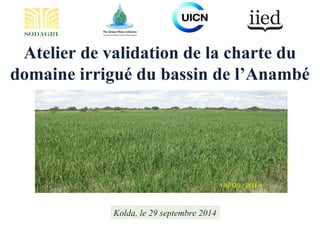 Atelier de validation de la charte du
domaine irrigué du bassin de l’Anambé
Kolda, le 29 septembre 2014
SODAGRI
 