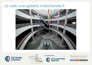 Le web une galerie marchande ? 
CHAMPAGNE-ARDENNE 
 