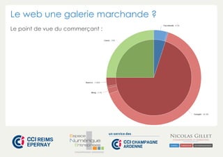 Le web une galerie marchande ? 
Le point de vue du commerçant : 
CHAMPAGNE-ARDENNE 
 
