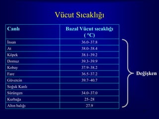 Vücut Sıcaklığı
Canlı             Bazal Vücut sıcaklığı
                         ( °C)
İnsan                   36.0–37.8
At                      38.0–38.4
Köpek                   38.1–39.2
Domuz                   39.3–39.9
Kobay                   37.9–38.2
Fare                    36.5–37.2         Değişken
Güvercin                39.7–40.7
Soğuk Kanlı
Sürüngen                34.0–37.0
Kurbağa                   25–28
Altın balığı              27.9
                                            13
 