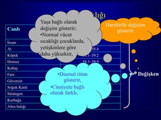 Vücut Sıcaklığı
               Yaşa bağlı olarak
                                             Hareketle değişim
Canlı          değişim gösterir; Vücut sıcaklığı gösterir
                            Basal
               •Normal vücut         ( °C)
İnsan          sıcaklığı çocuklarda,
                                   36.0–37.8
At             yetişkinlere göre 38.0–38.4
Köpek          daha yüksektir,     38.1–39.2
Domuz                              39.3–39.9
Kobay                              37.9–38.2
Fare                  •Diurnal ritim
                                   36.5–37.2              Değişken
Güvercin                 gösterir, 39.7–40.7
Soğuk Kanlı        •Cinsiyete bağlı
Sürüngen           olarak farklı, 34.0–37.0
Kurbağa                              25–28
Altın balığı                          27.9
                                                             14
 