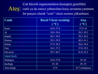 Çok hücreli organizmaların (konağın) genellikle
     Ateş:     canlı ya da cansız yabancılara karşı savunma yanıtının
               bir parçası olarak “core” vücut ısısının yükselmesi.
Canlı                       Bazal Vücut sıcaklığı          Ateş
                                   ( °C)                   ( °C)
İnsan                              36.0–37.8              37.9–41
At                                 38.0–38.4             38.3–39.3
Köpek                              38.1–39.2             39.3–42.2
Domuz                              39.3–39.9             40.5–41.1
Kobay                              37.9–38.2             38.6–39.4
Fare                               36.5–37.2             37.8–39.3
Güvercin                           39.7–40.7             41.0–41.5
Soğuk Kanlı
Sürüngen                           34.0–37.0               39–42
Kurbağa                              25–28                 29–35
Altın balığı                         27.9              32.7 (ortalama)
                                                                   15
 