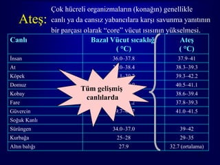 Çok hücreli organizmaların (konağın) genellikle
     Ateş:     canlı ya da cansız yabancılara karşı savunma yanıtının
               bir parçası olarak “core” vücut ısısının yükselmesi.
Canlı                        Bazal Vücut sıcaklığı          Ateş
                                      ( °C)                 ( °C)
İnsan                               36.0–37.8             37.9–41
At                                  38.0–38.4            38.3–39.3
Köpek                               38.1–39.2            39.3–42.2
Domuz                               39.3–39.9            40.5–41.1
                         Tüm gelişmiş
Kobay                              37.9–38.2             38.6–39.4
                          canlılarda
Fare                                36.5–37.2            37.8–39.3
Güvercin                            39.7–40.7            41.0–41.5
Soğuk Kanlı
Sürüngen                            34.0–37.0              39–42
Kurbağa                              25–28                 29–35
Altın balığı                          27.9             32.7 (ortalama)
                                                                    16
 