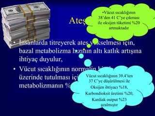 •Vücut sıcaklığının

                      Ateş         38’den 41 C’ye çıkması
                                   ile oksijen tüketimi %20
                                          artmaktadır


• İnsanlarda titreyerek ateş yükselmesi için,
  bazal metabolizma hızının altı katlık artışına
  ihtiyaç duyulur,
• Vücut sıcaklığının normalin bir derece
  üzerinde tutulması için bazalsıcaklığının 39.4’ten
                           Vücut
                            37 C’ye düşürülmesi ile
  metabolizmanın %10-12.5’luk artışı %18,
                             Oksijen ihtiyacı gerekir
                             Karbondioksit üretimi %20,
                                Kardiak output %23
                                    azalmıştır
                                                          35
 