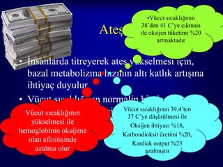 •Vücut sıcaklığının

                        Ateş       38’den 41 C’ye çıkması
                                   ile oksijen tüketimi %20
                                          artmaktadır


• İnsanlarda titreyerek ateş yükselmesi için,
  bazal metabolizma hızının altı katlık artışına
  ihtiyaç duyulur,
• Vücut sıcaklığının normalin bir derece
  üzerinde tutulması için bazalsıcaklığının 39.4’ten
  Vücut sıcaklığının
                           Vücut
                            37 C’ye düşürülmesi ile
  metabolizmanın %10-12.5’luk artışı %18,
   yükselmesi ile            Oksijen ihtiyacı gerekir
hemoglobinin oksijene        Karbondioksit üretimi %20,
  olan afinitisinde             Kardiak output %23
    azalma olur                     azalmıştır
                                                          36
 