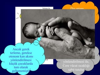 Terleme ile
                               kayıp
                                                Dış ortam
                                               sıcaklığının
                                                yükseldiği
                                               durumlarda
                                            terleme ön plana
            Radyasyon ile
               ısınma
                                                  çıkar
          İletim ile
             kayıp




        Radyasyonla ile
            kayıp
   Ancak gerek                            Dış ortam sıcaklığı
 terleme, gerekse                         düşdüğünde de kan
otonom kan akımı             Temasla           akımının
 yönlendirilmesi              kayıp
                                          yönlendirilmesi ile,
küçük çocuklarda
    tam olarak                            Core vücut sıcaklığı
   gelişmemiştir                             sabit tutulur     49
 