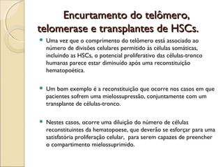 Encurtamento do telômero,
telomerase e transplantes de HSCs.


Uma vez que o comprimento do telômero está associado ao
número de divisões celulares permitido às células somáticas,
incluindo as HSCs, o potencial proliferativo das células-tronco
humanas parece estar diminuído após uma reconstituição
hematopoética.



Um bom exemplo é a reconstituição que ocorre nos casos em que
pacientes sofrem uma mielossupressão, conjuntamente com um
transplante de células-tronco.



Nestes casos, ocorre uma diluição do número de células
reconstituintes da hematopoese, que deverão se esforçar para uma
satisfatória proliferação celular, para serem capazes de preencher
o compartimento mielossuprimido.

 