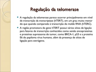 Regulação da telomerase




A regulação da telomerase parece ocorrer principalmente em nível
de transcrição da transcriptase (hTERT), em um grau muito menor
do que quando comparado à transcrição do molde RNA (hTERC).
A região promotora do gene hTERT possui vários sítios de ligação
para fatores de transcrição conhecidos como sendo oncoproteínas
e proteínas supressoras de tumor, como BRCA-1, p53 e a proteína
E6 do papiloma vírus humano, além da presença de sítios de
ligação para estrógeno.

 