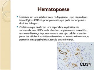 Hematopoese




É iniciada em uma célula-tronco multipotente, com marcadores
imunológicos CD34+, principalmente, que pode dar origem às
distintas linhagens.
Os fatores que conferem uma capacidade replicativa tão
aumentada para HSCs ainda não são completamente entendidos,
mas uma diferença importante entre este tipo celular e a maior
parte das células é a atividade detectável da enzima telomerase, e,
portanto, uma possível manutenção dos telômeros.

 