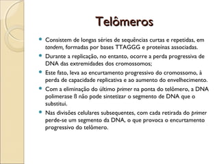 Telômeros







Consistem de longas séries de sequências curtas e repetidas, em
tandem, formadas por bases TTAGGG e proteínas associadas.
Durante a replicação, no entanto, ocorre a perda progressiva de
DNA das extremidades dos cromossomos;
Este fato, leva ao encurtamento progressivo do cromossomo, à
perda de capacidade replicativa e ao aumento do envelhecimento.
Com a eliminação do último primer na ponta do telômero, a DNA
polimerase ß não pode sintetizar o segmento de DNA que o
substitui.
Nas divisões celulares subsequentes, com cada retirada do primer
perde-se um segmento da DNA, o que provoca o encurtamento
progressivo do telômero.

 