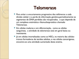 Telomerase






Para evitar o encurtamento progressivo dos telômeros a cada
divisão celular e a perda da informação genética,periodicamente os
segmentos de DNA perdidos são recuperados, o que depende de
um complexo enzimático ribonucleoprotéico chamado
Telomerase.
Em células maduras e em diferenciação, como as células
sanguíneas, a atividade da telomerase está em geral baixa ou
inexistente.
Já em células imortalizadas como as HSCs, na maioria das célulastronco formadoras de tecidos adultos, e nas células cancerígenas,
encontra-se uma atividade aumentada desta enzima.

 