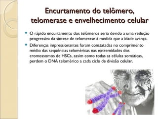 Encurtamento do telômero,
telomerase e envelhecimento celular



O rápido encurtamento dos telômeros seria devido a uma redução
progressiva da síntese de telomerase à medida que a idade avança.
Diferenças impressionantes foram constatadas no comprimento
médio das sequências teloméricas nas extremidades dos
cromossomos de HSCs, assim como todas as células somáticas,
perdem o DNA telomérico a cada ciclo de divisão celular.

 