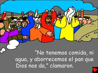 “No tenemos comida, ni
agua, y aborrecemos el pan que
Dios nos da,” clamaron.
 