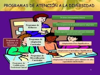 12
PROGRAMAS DE ATENCIÓN A LA DIVERSIDAD
 