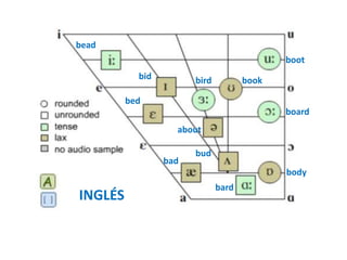 bead 
INGLÉS 
bid 
bed 
bad 
bird 
bud 
bard 
boot 
board 
body 
book 
about 
 