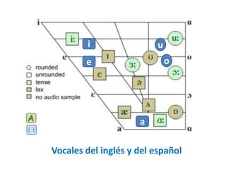 i 
e 
a 
o 
u 
Vocales del inglés y del español 
 