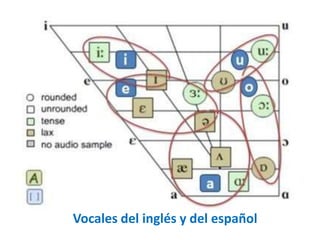 Vocales del inglés y del español 
 
