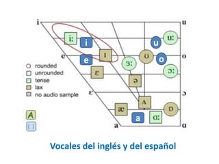 i 
e 
a 
o 
u 
Vocales del inglés y del español 
 