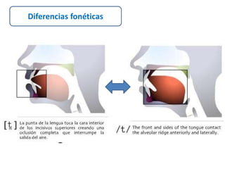 Diferencias fonéticas 
 
