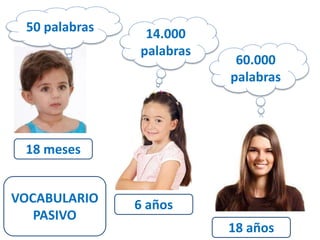60.000 
palabras 
14.000 
palabras 
50 palabras 
18 meses 
6 años 
18 años 
VOCABULARIO 
PASIVO 
 