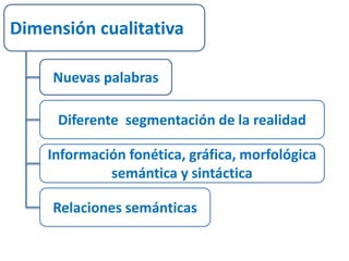 Dimensión cualitativa 
Nuevas palabras 
Diferente segmentación de la realidad 
Información fonética, gráfica, morfológica 
semántica y sintáctica 
Relaciones semánticas 
 