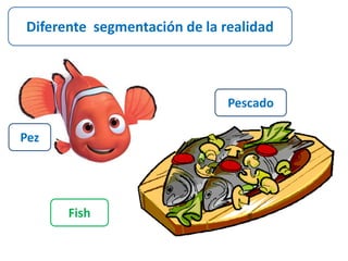 Diferente segmentación de la realidad 
Pescado 
Pez 
Fish 
 