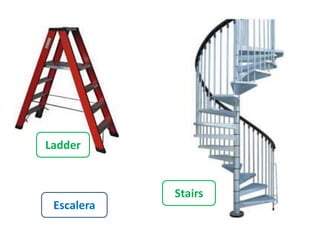 Stairs 
Ladder 
Escalera 
 