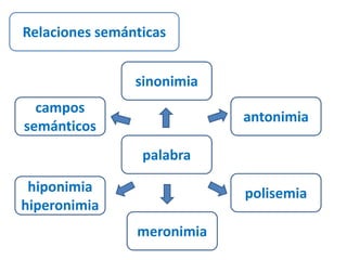 Relaciones semánticas 
sinonimia 
palabra 
antonimia 
polisemia 
meronimia 
campos 
semánticos 
hiponimia 
hiperonimia 
 