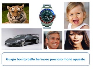 Guapo bonito bello hermoso precioso mono apuesto 
 