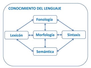 CONOCIMIENTO DEL LENGUAJE 
FonologíaA 
Lexicón Morfología 
Sintaxis 
Semántica 
 