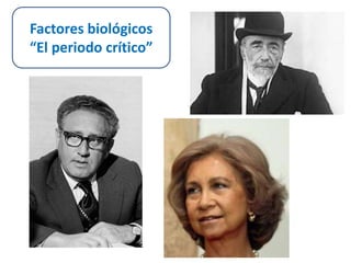 Factores biológicos 
“El periodo crítico” 
 