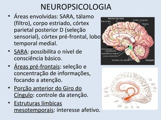 NEUROPSICOLOGIA
• Áreas envolvidas: SARA, tálamo
(filtro), corpo estriado, córtex
parietal posterior D (seleção
sensorial), córtex pré-frontal, lobo
temporal medial.
• SARA: possibilita o nível de
consciência básico.
• Áreas pré-frontais: seleção e
concentração de informações,
focando a atenção.
• Porção anterior do Giro do
Cíngulo: controle da atenção.
• Estruturas límbicas
mesotemporais: interesse afetivo.
 