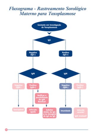 Fluxograma - Rastreamento Sorológico
          Materno para Toxoplasmose

                                Gestante em Investigação
                                    de Toxoplasmose




                                          IgG




                     Negativo                              Positivo
                      (IgG-)                                (IgG+)




                       IgM                                   IgM




        Negativo     Positivo                              Negativo    Positivo
         (IgM-)      (IgM+)                                 (IgM-)     (IgM+)



                              Verificar a
                             possibilidade
                                de IgM
                               Residual


       Susceptível   Infecção           Solicitar                       Infecção
                                                       Imunidade
                      aguda          Avidez de IgG                      recente?
                                     e/ou dosagem
                                     de IgA ou IgE.                   IgM residual?




40
 