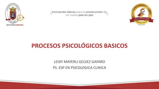 PROCESOS PSICOLÓGICOS BASICOS
LEIDY MAYERLI GELVEZ GAFARO
PS. ESP EN PSICOLOGICA CLINICA
 
