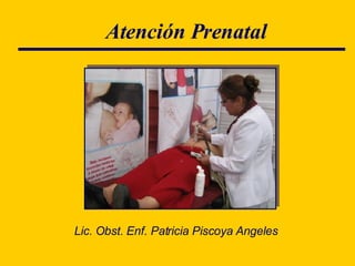Atención Prenatal Lic. Obst. Enf. Patricia Piscoya Angeles 