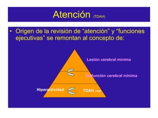 Atención  (TDAH) ,[object Object],Lesión cerebral mínima Disfunción cerebral mínima Hiperactividad TDAH  (1980) 