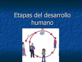 Etapas del desarrollo humano 