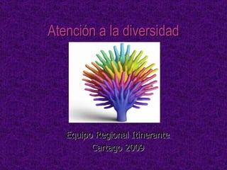 Atención a la diversidad Equipo Regional Itinerante Cartago 2009 