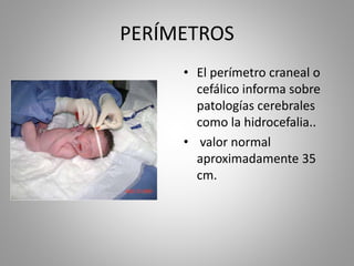 PERÍMETROS
• El perímetro craneal o
cefálico informa sobre
patologías cerebrales
como la hidrocefalia..
• valor normal
aproximadamente 35
cm.
 