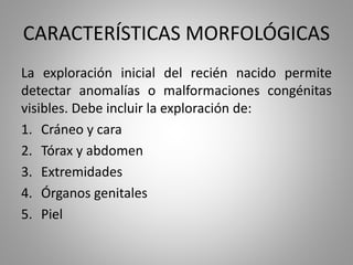 CARACTERÍSTICAS MORFOLÓGICAS
La exploración inicial del recién nacido permite
detectar anomalías o malformaciones congénitas
visibles. Debe incluir la exploración de:
1. Cráneo y cara
2. Tórax y abdomen
3. Extremidades
4. Órganos genitales
5. Piel
 