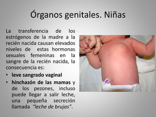 Órganos genitales. Niñas
La transferencia de los
estrógenos de la madre a la
recién nacida causan elevados
niveles de estas hormonas
sexuales femeninas en la
sangre de la recién nacida, la
consecuencia es:
• leve sangrado vaginal
• hinchazón de las mamas y
de los pezones, incluso
puede llegar a salir leche,
una pequeña secreción
llamada “leche de brujas”.
 