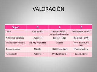 VALORACIÓN
 