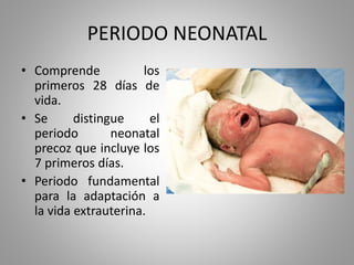 PERIODO NEONATAL
• Comprende los
primeros 28 días de
vida.
• Se distingue el
periodo neonatal
precoz que incluye los
7 primeros días.
• Periodo fundamental
para la adaptación a
la vida extrauterina.
 