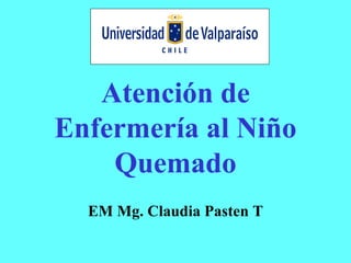Atención de
Enfermería al Niño
    Quemado
  EM Mg. Claudia Pasten T
 