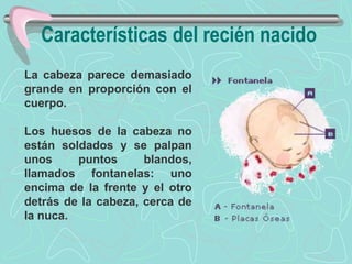 atenci-n-del-recien-nacido-pptx