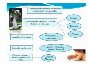 La madre y el hijo forman un binomio
                       indispensable para sus vidas


                                                                Prenatal
              El docente debe orientar a la madre
                     durante su embarazo
                                                                Postnatal



                                                                 Perinatal
                                     Preparación a la
Atención a la gestante                 maternidad



                                       Afectiva – Cognitiva –
Estimulación Prenatal
                                        Motora – Sensorial

 Primeros cuidados –
Salud y Nutrición del               Lactancia
        Niño                        Materna
 